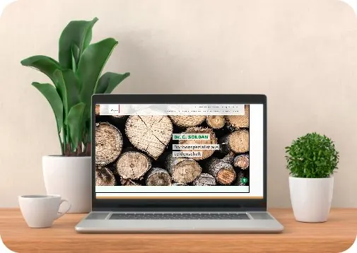 Soldan / em-eukal: Website-Motiv